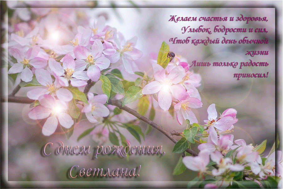 Поздравления С Днем Рождения Светлана Анатольевна